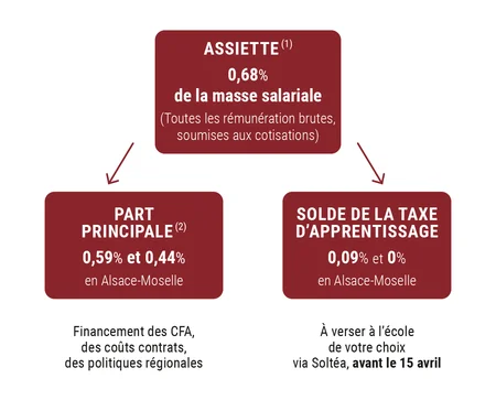 schéma taxe d'apprentissage